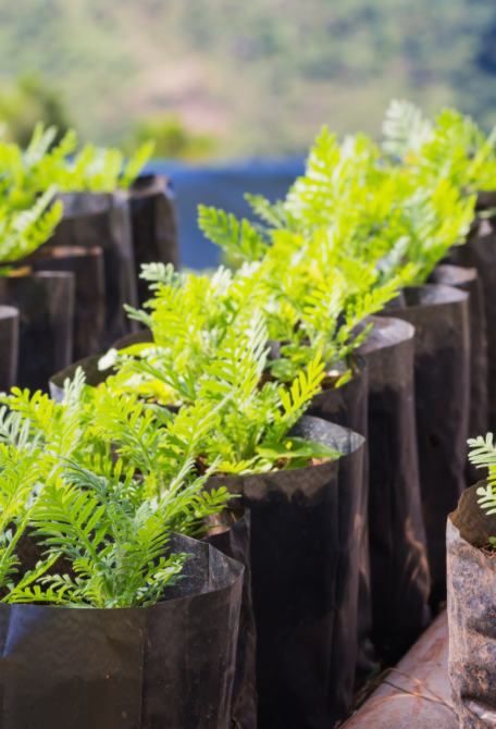 horticulture-commande