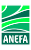 logo-site-anefa-2